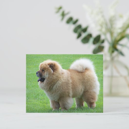 Chow Chow Puppy Dog - Hallo, Liebe, Denken Sie an  Postkarte (Stehend Vorderseite)