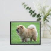 Chow Chow Puppy Dog leere Grußkarte Postkarte (Stehend Vorderseite)