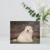 Chow Chow Puppy Dog leere Grußkarte Postkarte (Stehend Vorderseite)