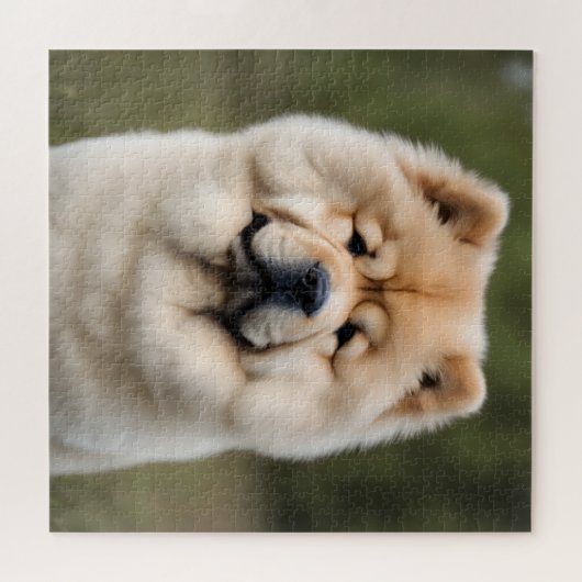 Chow Chow Puzzle (Horizontal)