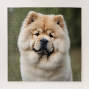 Chow Chow Puzzle