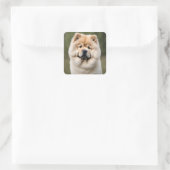 Chow Chow Quadratischer Aufkleber (Tasche)