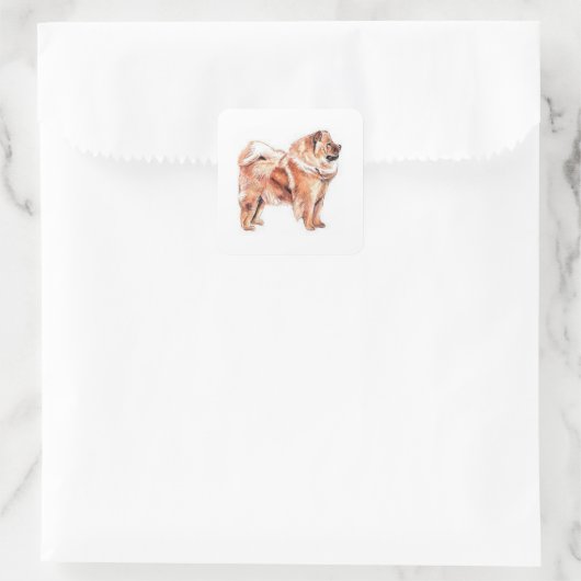 Chow Chow Red Quadratischer Aufkleber (Tasche)
