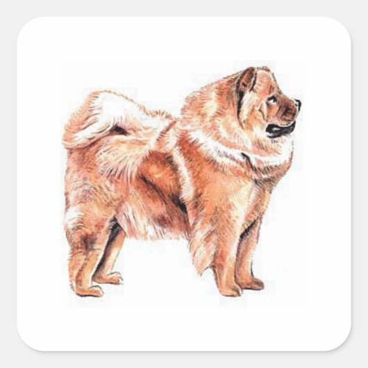 Chow Chow Red Quadratischer Aufkleber (Vorderseite)