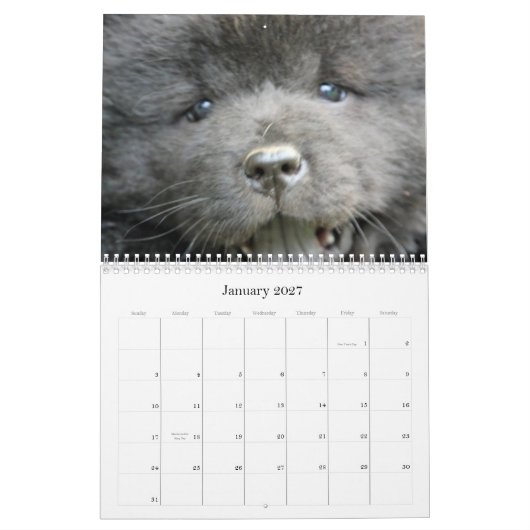 Chow-Chow-Rettungs-Kalender Kalender (Jan 2027)