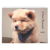 Chow-Chow-Rettungs-Kalender Kalender (Titelbild)