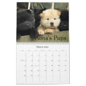 Chow-Chow-Rettungs-Kalender Kalender (Mär 2026)