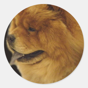Chow-Chow Runder Aufkleber