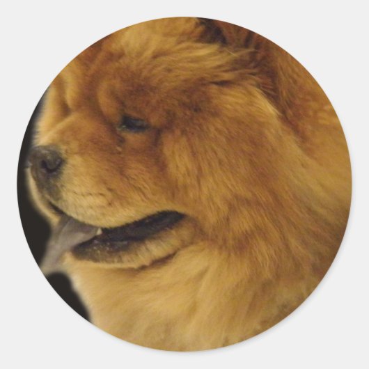 Chow Chow Runder Aufkleber (Vorderseite)