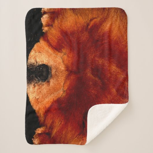 Chow Chow sbcna Sherpadecke (Vorderseite)