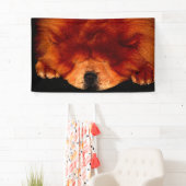 Chow-Chow-Schnittstelle Banner (Insitu)