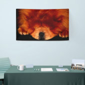 Chow-Chow-Schnittstelle Banner (Messeveranstaltung)