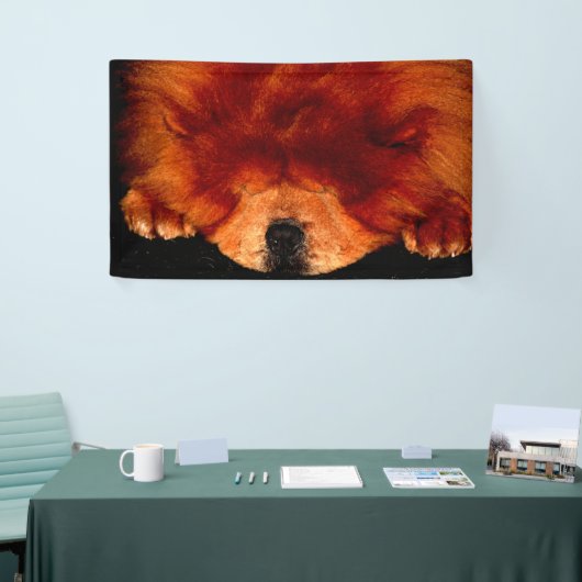 Chow-Chow-Schnittstelle Banner (Messeveranstaltung)