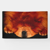 Chow-Chow-Schnittstelle Banner (Horizontal)