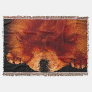 Chow Chow tbcna Decke