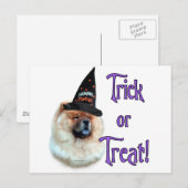 Chow Chow Trick Postkarte (Vorne/Hinten)