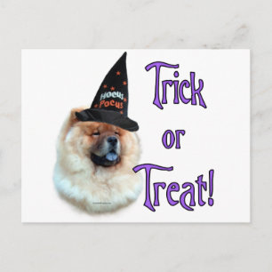Chow Chow Trick Postkarte