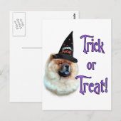 Chow Chow Trick Postkarte (Vorne/Hinten)