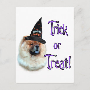 Chow Chow Trick Postkarte