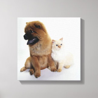 Chow Chow und eine weiße Katze zusammensitzen Leinwanddruck