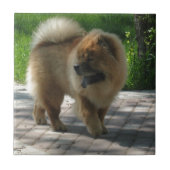 Chow-Chow voll Fliese (Vorderseite)