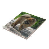 Chow-Chow voll Fliese (Seite)