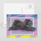 Chow-Chow Wang Postkarte (Vorne/Hinten)