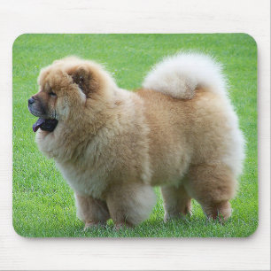 Chow Chow Welpe Hund Grüngras Mousepad