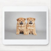 Chow chow Welpen Mousepad (Vorne)