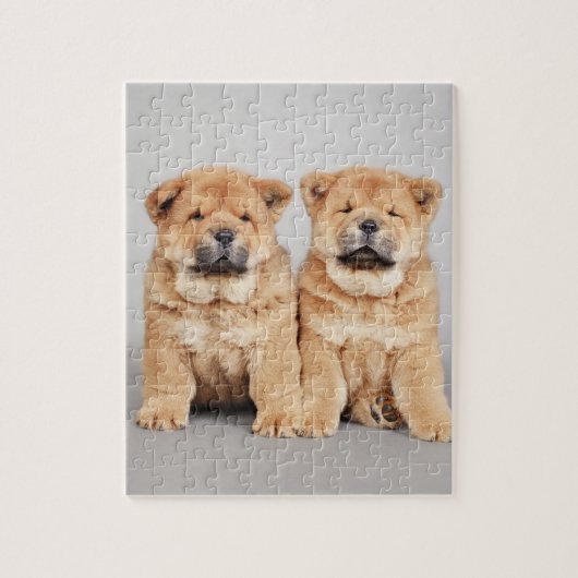 Chow chow Welpen Puzzle (Vertikal)