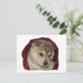 Chow Puppy in Red Scarf Postkarte (Stehend Vorderseite)