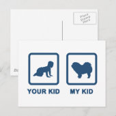 Chow Rough-Coat Postkarte (Vorne/Hinten)