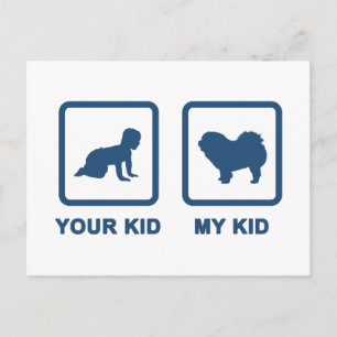 Chow Rough-Coat Postkarte