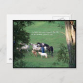 Chow Time Postkarte (Vorne/Hinten)