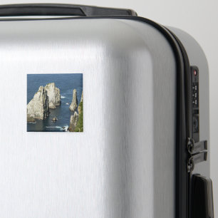 Chowiet Seabird Colonies, Alaska Magnet