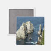 Chowiet Seabird Colonies, Alaska Magnet (Vorderseite/Rückseite)