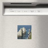 Chowiet Seabird Colonies, Alaska Magnet (In Situ (Geschirrspüler))