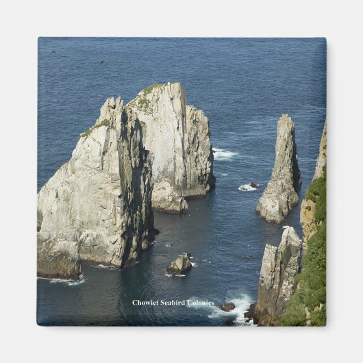 Chowiet Seabird Colonies, Alaska Magnet (Vorne)
