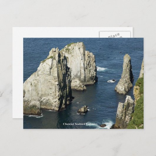 Chowiet Seabird Colonies, Alaska Postkarte (Vorne/Hinten)