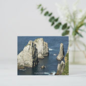 Chowiet Seabird Colonies, Alaska Postkarte (Stehend Vorderseite)