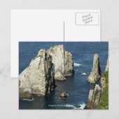 Chowiet Seabird Colonies, Alaska Postkarte (Vorne/Hinten)