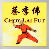 Choy Lai Fut Poster (Vorne)