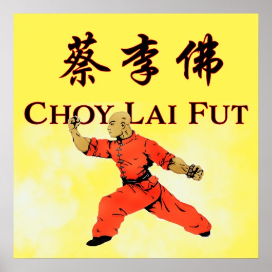 Choy Lai Fut Poster (Vorne)