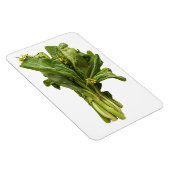 Choy Sum Foto Magnet (Rechte Seite)