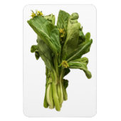 Choy Sum Foto Magnet (Vertikal)