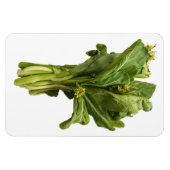 Choy Sum Foto Magnet (Horizontal)