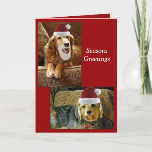 Chris-Karte Feiertagskarte (Vorderseite)