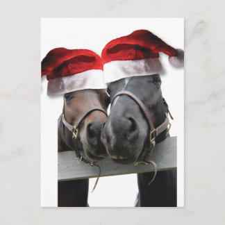 Chrismas Horses With Santa Hats Feiertagspostkarte