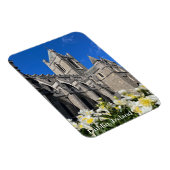 Christ Church in Dublin, Irland Magnet (Rechte Seite)