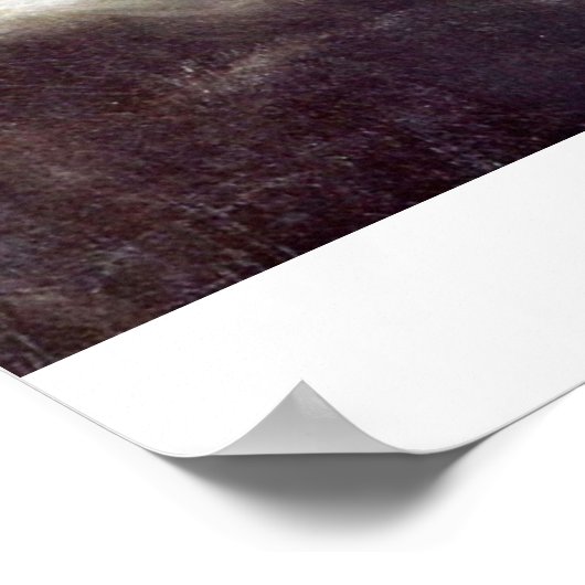 Christ im Sturm am Genezareth-See von Rembrandt Poster (Ecke)